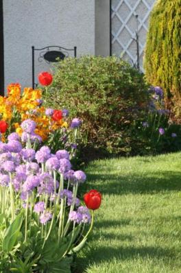 Ken-Mar House Bed And Breakfast Ballymoney Exterior foto
